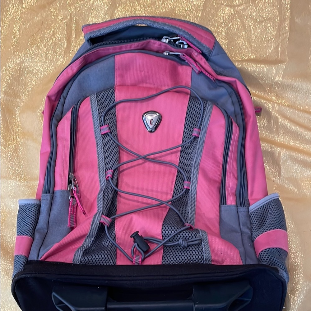 Pink and Gray Travel Bag